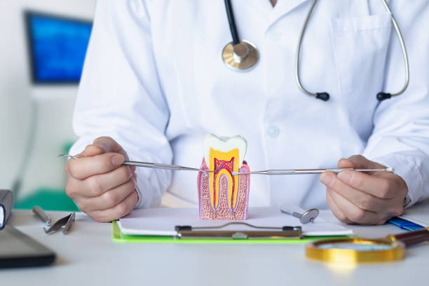 Best Emergency Broken Tooth Repair in Stansbury Park, UT